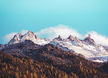 zblog插件-批量导入导出TXT文章